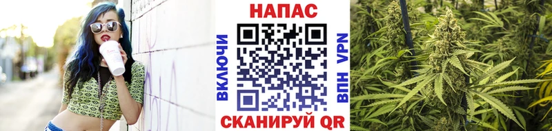 Каннабис план  Минеральные Воды 